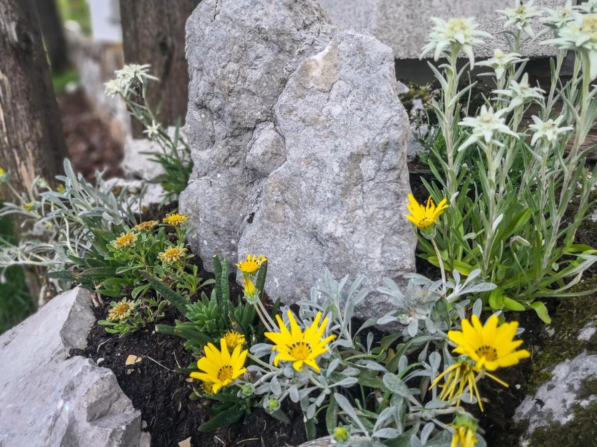 徒步加自行车小木屋 博希尼 外观 照片